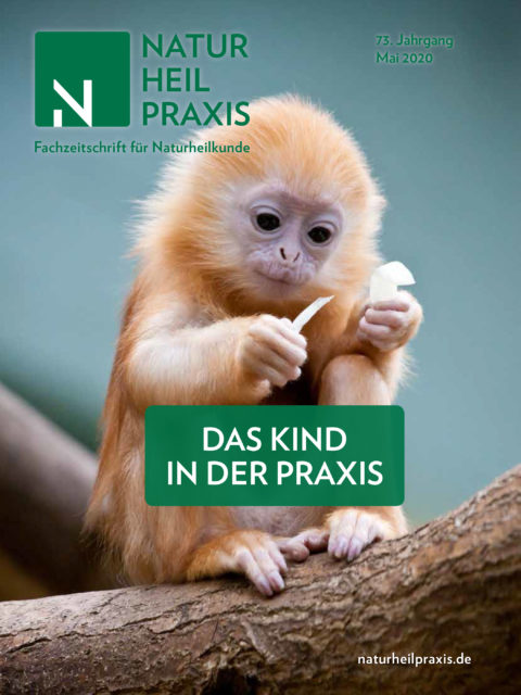 Naturheilpraxis Cover Juli 2020