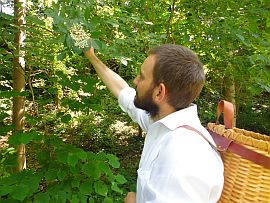 Holunderbluetensirup selber machen 1