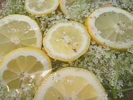 Holunderbluetensirup selber machen 3