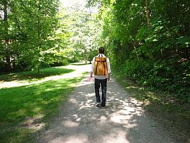 Holunderbluetensirup selber machen 5