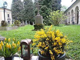 Paracelsus Grab Sebastiansfriedhof Salzburg 4
