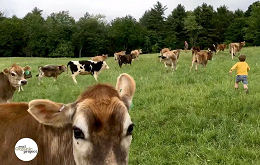 Real Organic Project Symposium Dartmouth 3